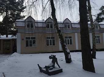 Проверка огнезащитной обработки деревянных конструкций в Оздоровительном комплексе «Салют» д. 19, корп. 5